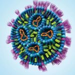 Evonik und die Universität Mainz haben eine Lizenzvereinbarung über die Vermarktung von randomisierten Polyethylenglykolen (rPEG) unterzeichnet. Diese sollen in der zweiten Jahreshälfte 2024 in technischer Qualität verfügbar sein. Lipid-Nanopartikel, Covid-19-Impfstoff