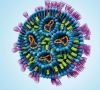 schematische Darstellung eines Lipid-Nanopartikels