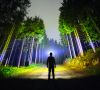 Mensch, der im dunklen Wald steht, um ihn rum leuchtet Licht.