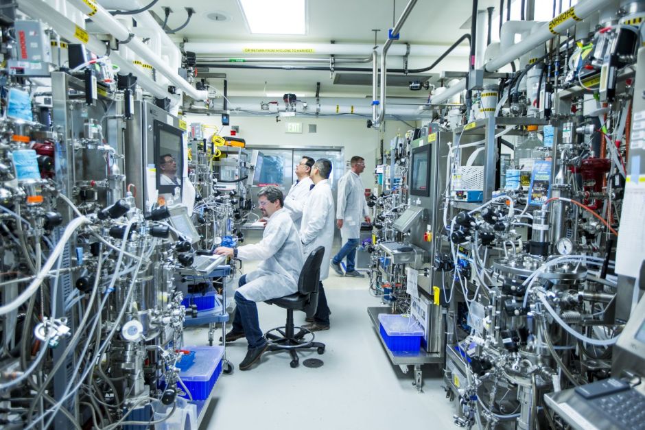 Über die nächsten fünf Jahre plant Roche, 50 Mrd. US-Dollar in den Aus- und Neubau von Produktionsanlagen für Pharmazeutika in den USA zu investieren. Damit steigert das Unternehmen seine Präsenz im Land über seine bestehenden 24 Standorte hinaus.