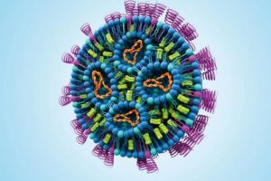 schematische Darstellung eines Lipid-Nanopartikels