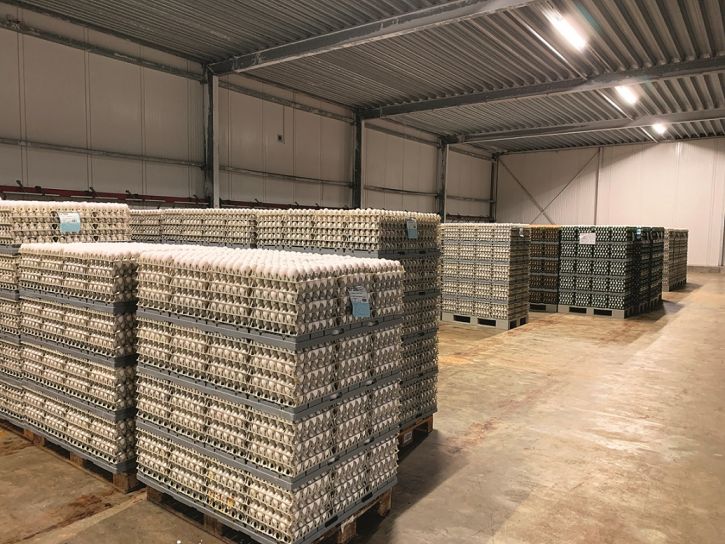 Kühlhaus mit Eiern im Eiproduktenwerk
