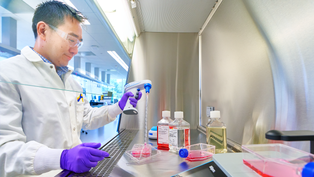 Merck hat mit der Hub Organoids Holding eine endgültige Vereinbarung mit Übernahmeabsicht unterzeichnet. Mit der Akquisition plant der Darmstädter Konzern, sein Zellkulturportfolio zu erweitern.